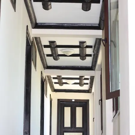 Antik Manastir Butik 埃德雷米特