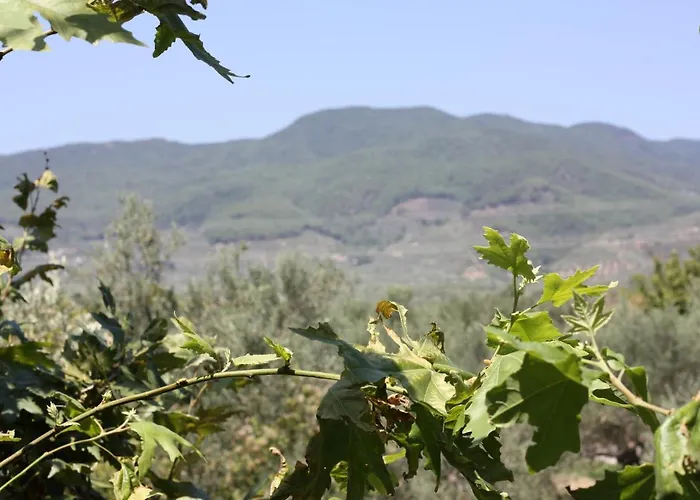 Antik Manastır Butik