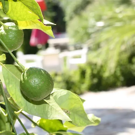 Antik Manastir Butik Hotel Edremit (Balikesir)