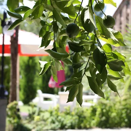 Antik Manastir Butik Hotel Edremit (Balikesir)